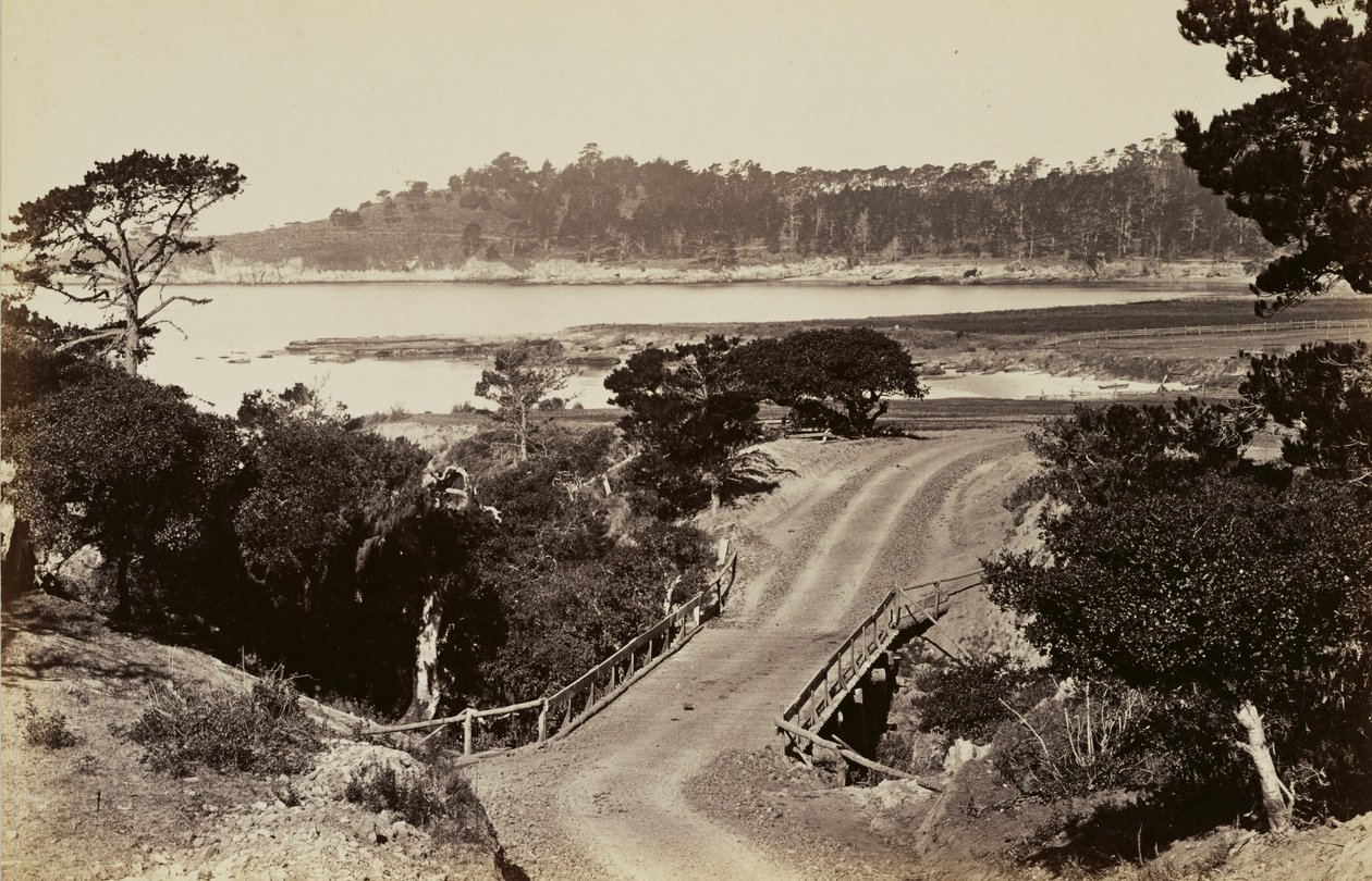 [Pohled na pobřeží u Monterey] od Carleton Watkins