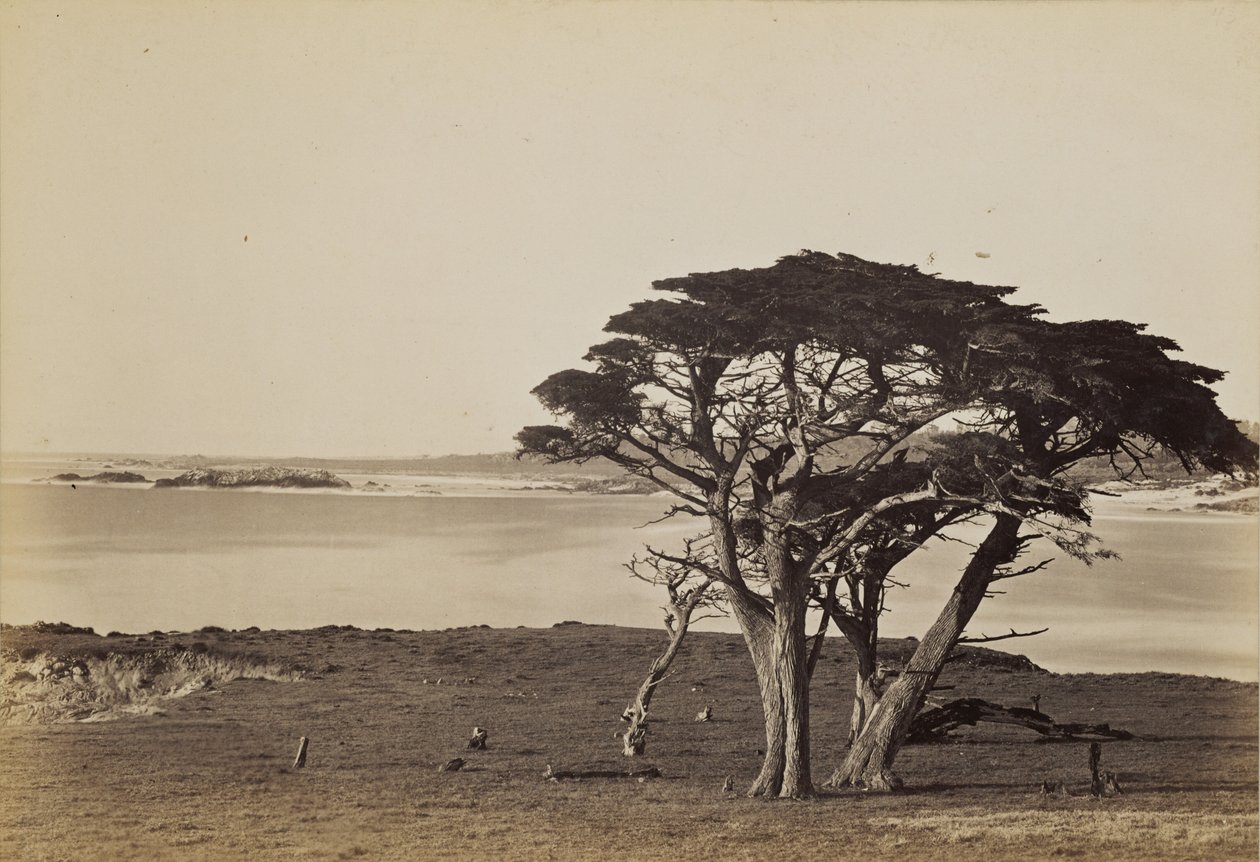 Pohled na pobřeží u Monterey od Carleton Watkins