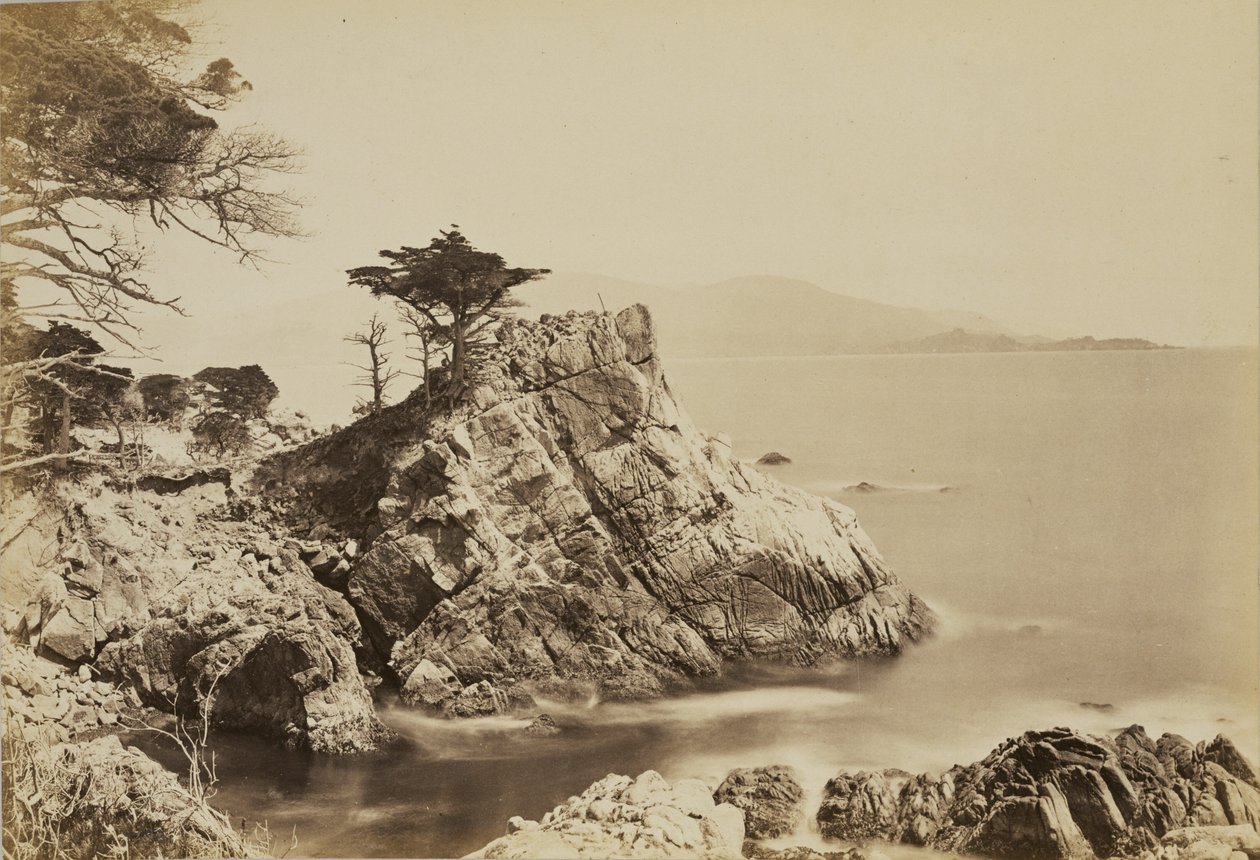 [Cypress Point] od Carleton Watkins