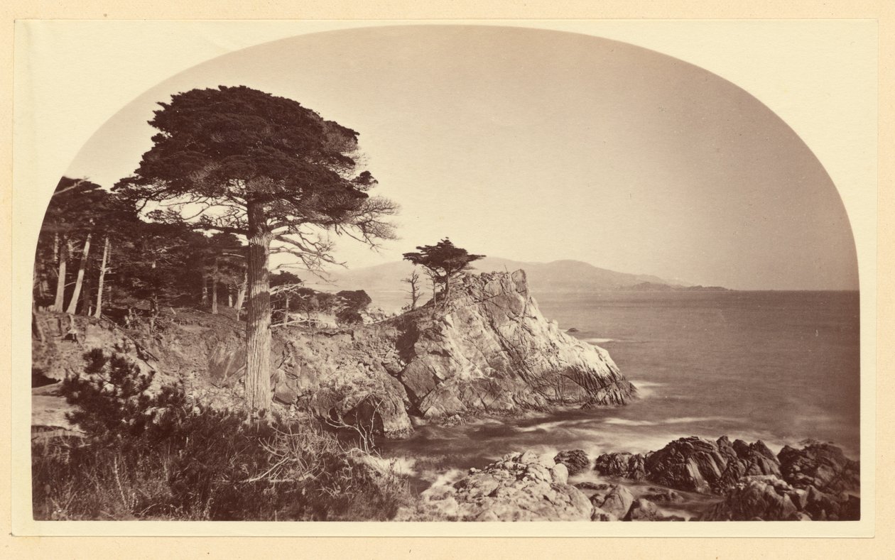 [Cypress Point z Cypress Drive, Monterey, Kalifornie] od Carleton Watkins