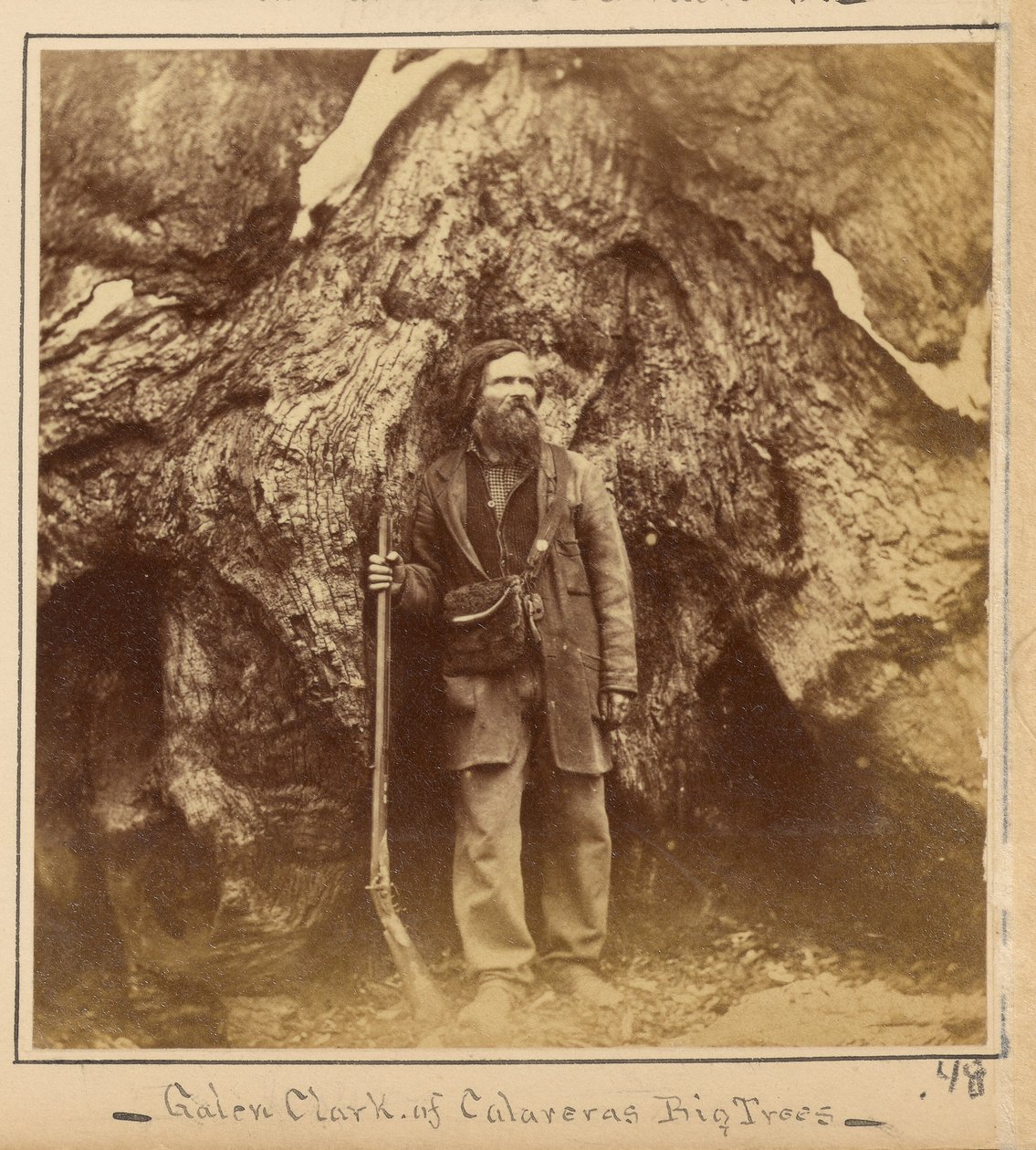 Galen Clark, Esq., Mariposa Grove, okres Mariposa, Kalifornie od Carleton Watkins