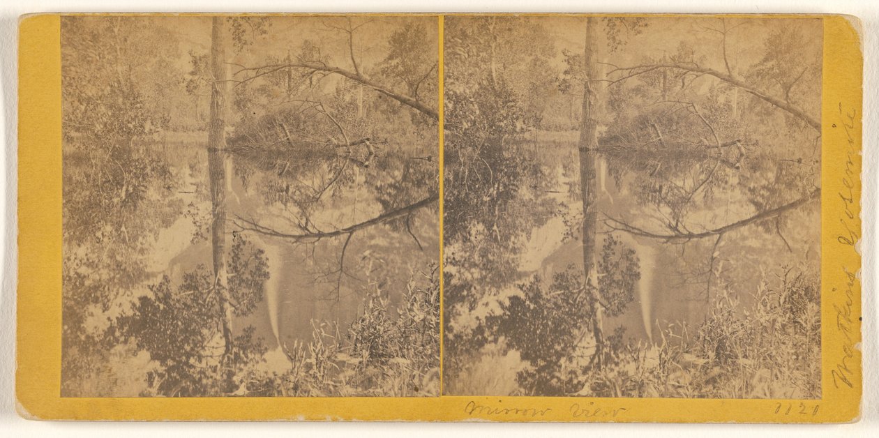 [Pohled do zrcadla, Yosemitské údolí, okres Mariposa, Cal.] od Carleton Watkins