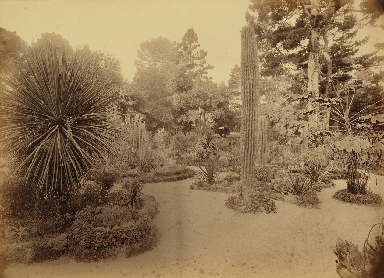 [Monterey, Kalifornie. Arizona Garden, Hotel Del Monte]. od Carleton Watkins