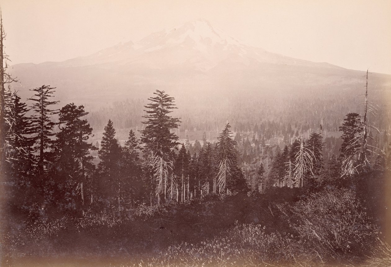 Mount Shasta od Carleton Watkins