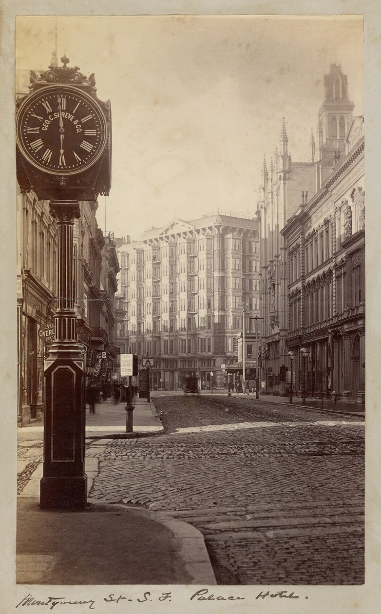 Palace Hotel, Montgomery Street, San Francisco od Carleton Watkins