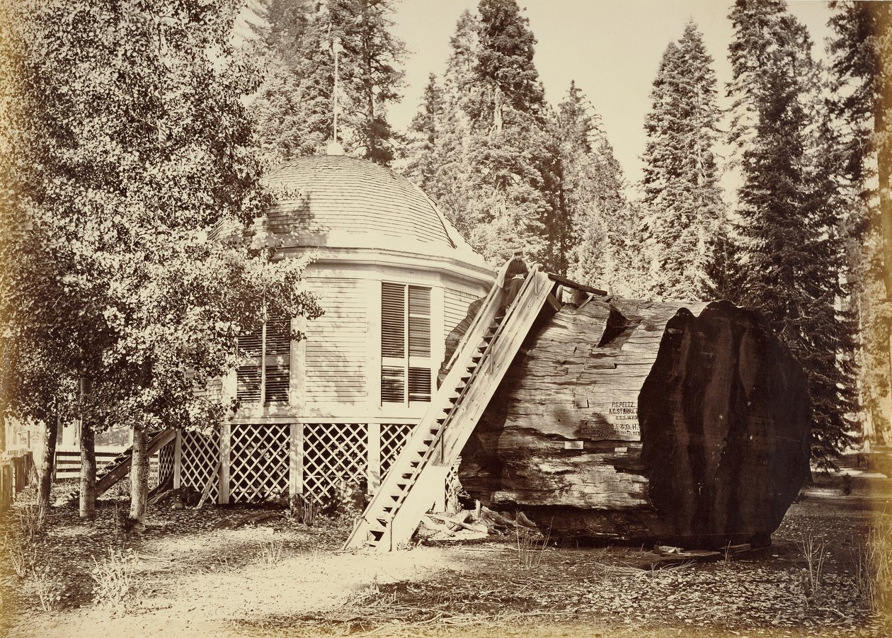 Pavilon na pařezu, průměr 28 stop od Carleton Watkins
