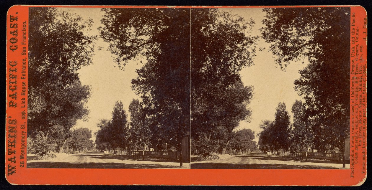 Pohled na stromy lemované ulice San Gabriel, Kalifornie od Carleton Watkins