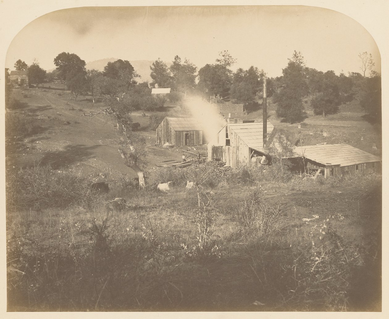[Turnerův mlýn] od Carleton Watkins
