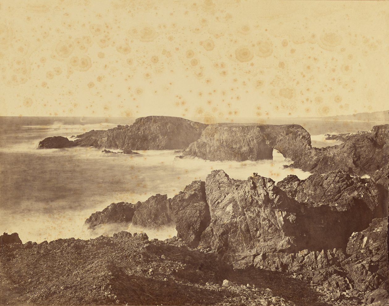 [Pohled na pobřeží Mendocino] / [Pohled na pobřeží u Mendocina] od Carleton Watkins