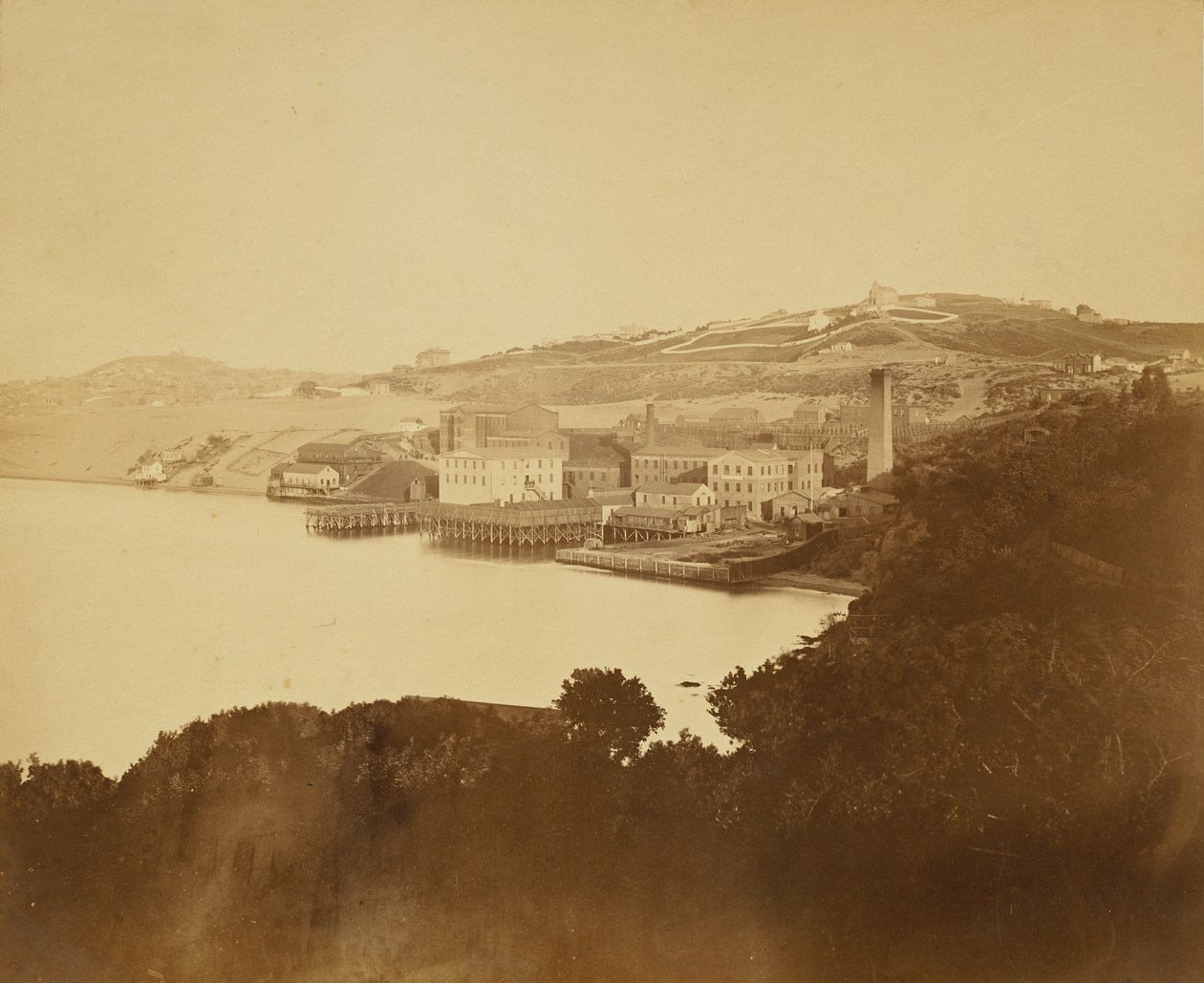 [Vlnařská továrna, San Francisco] od Carleton Watkins