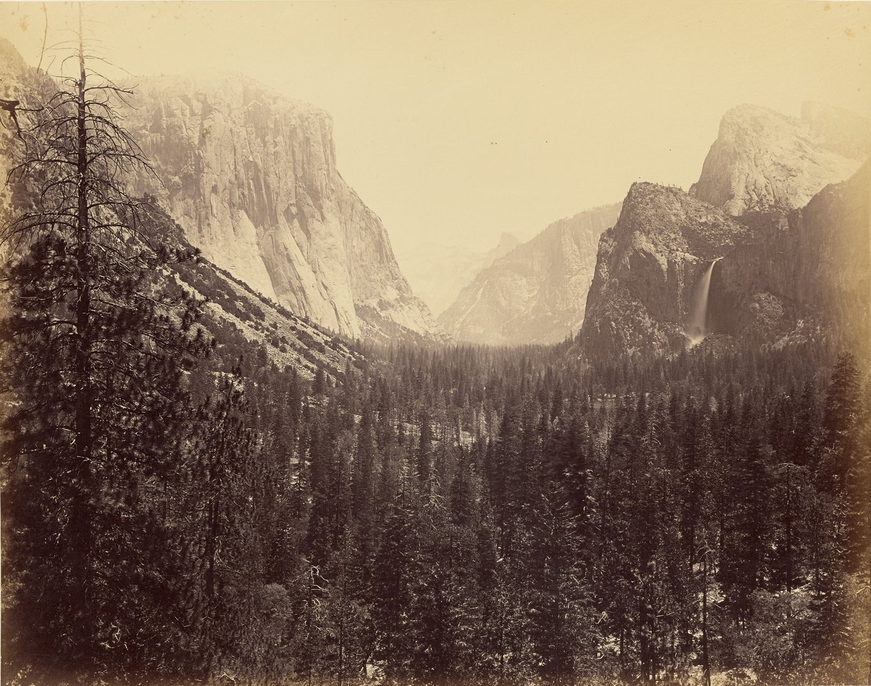 [Údolí Yosemite ze stezky Mariposa] od Carleton Watkins
