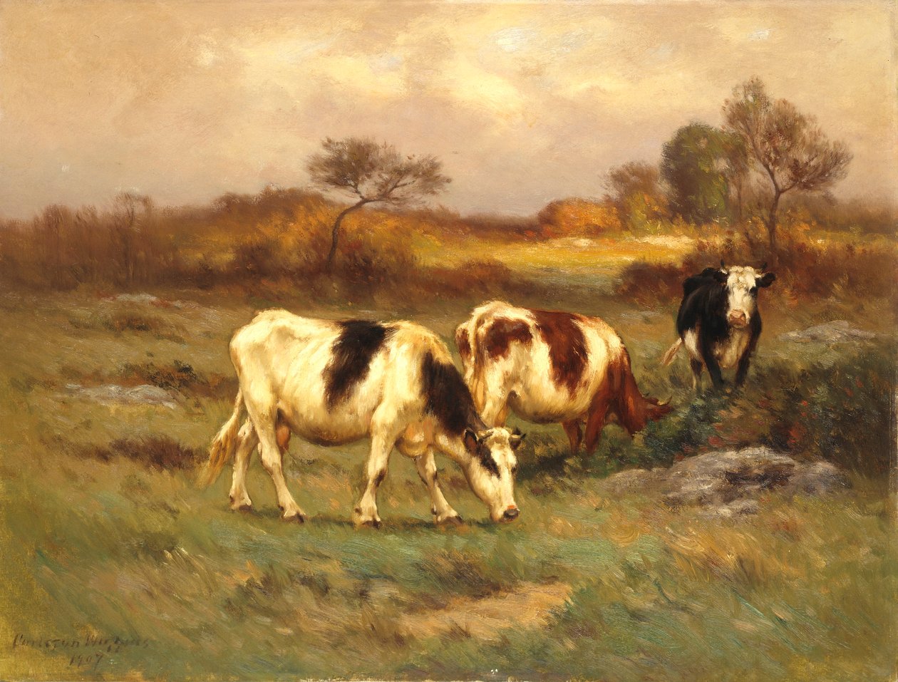 Pozemek pastviny od Carleton Wiggins