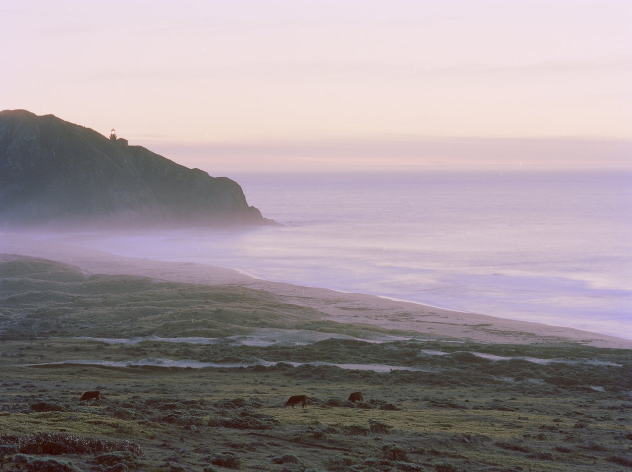 Big Sur, 2014 od Carli Choi