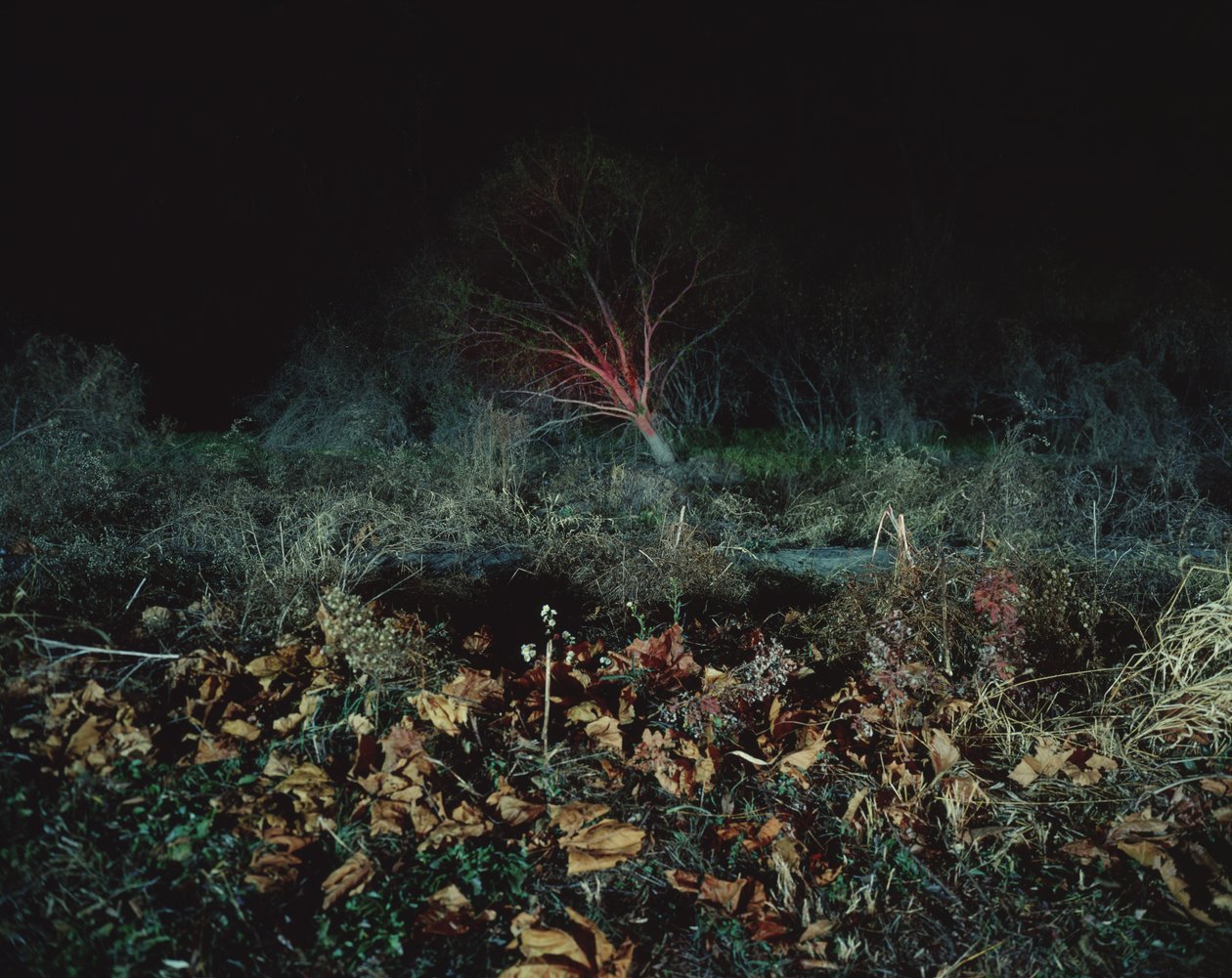 Malování ve tmě, 2011 od Carli Choi