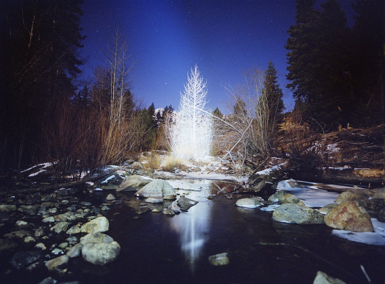 Malování ve tmě, 2015 (fotografie) od Carli Choi