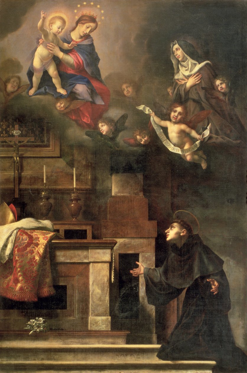 Zjevení Panny Marie svatému Ludvíkovi z Toulouse od Carlo Dolci