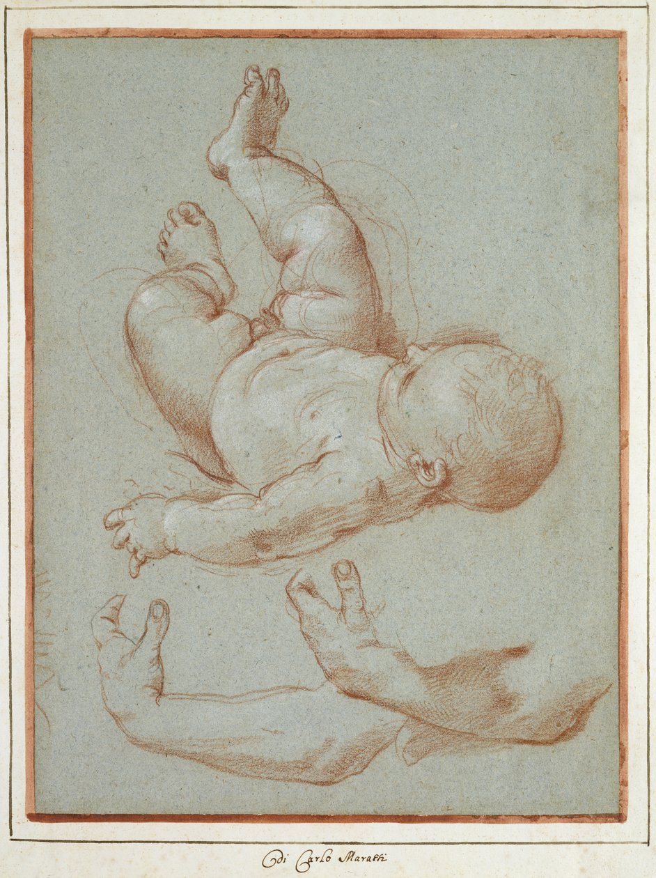 Nemluvně Romulus a dvě studie mužské levé paže (křída na papíře) od Carlo Maratta or Maratti