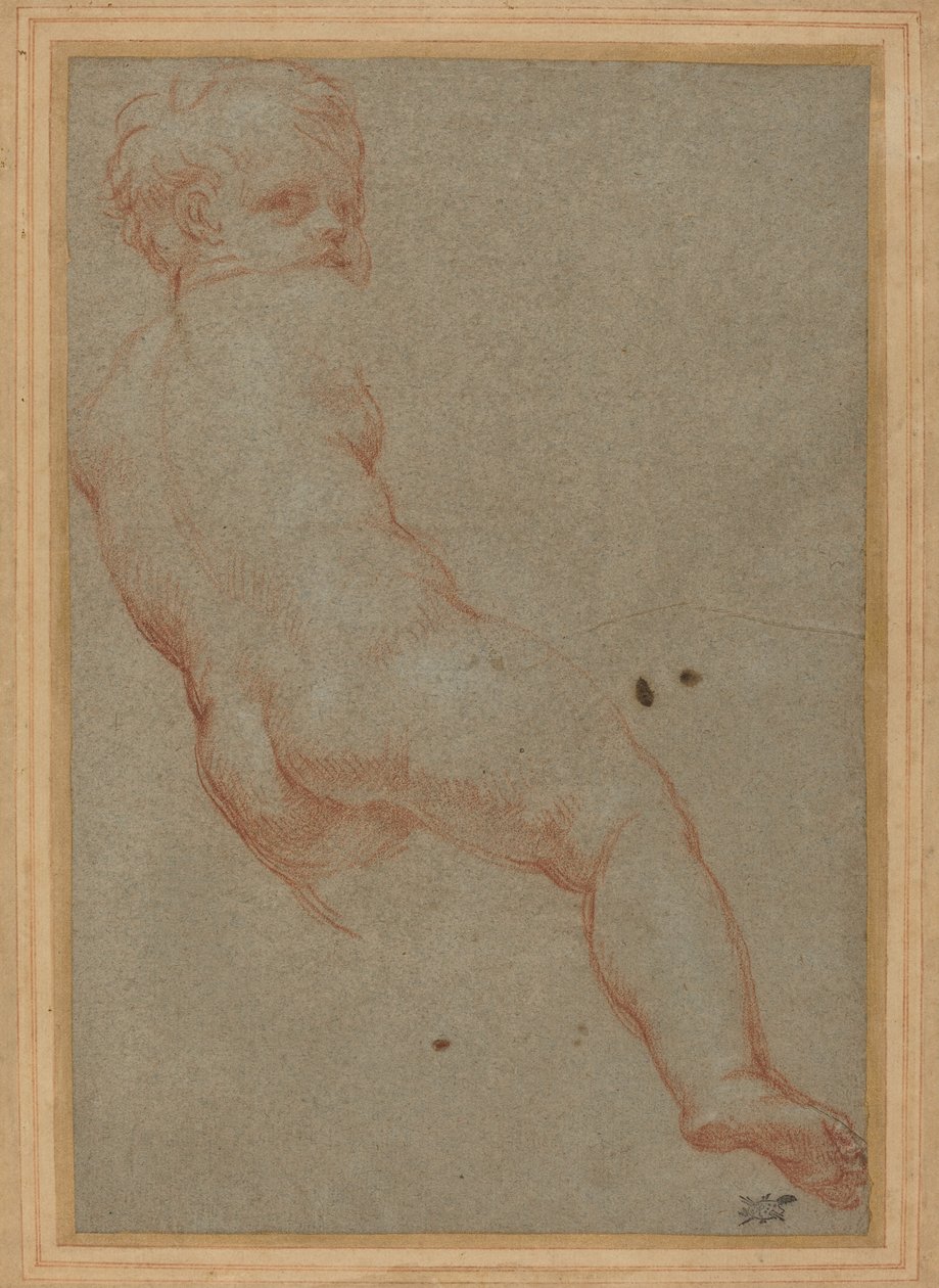 Studie mladého chlapce od Carlo Maratta