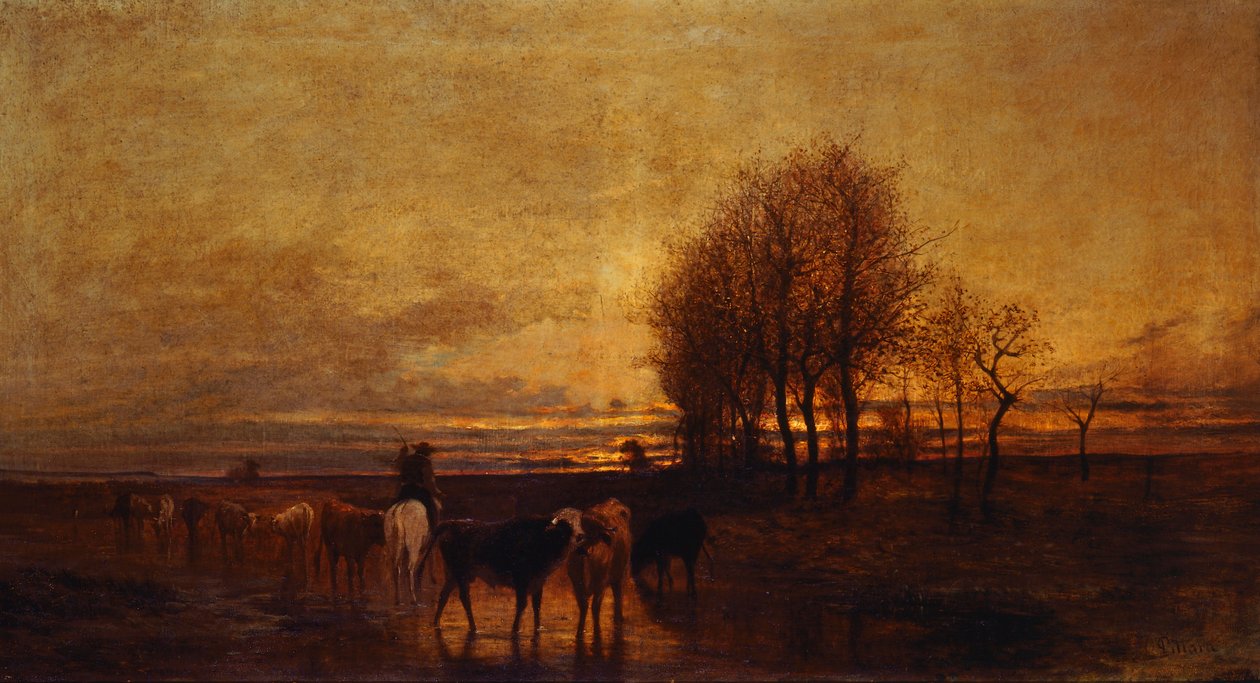 Zvířata hnaná do vody, Carlo Pittara od Carlo Pittara