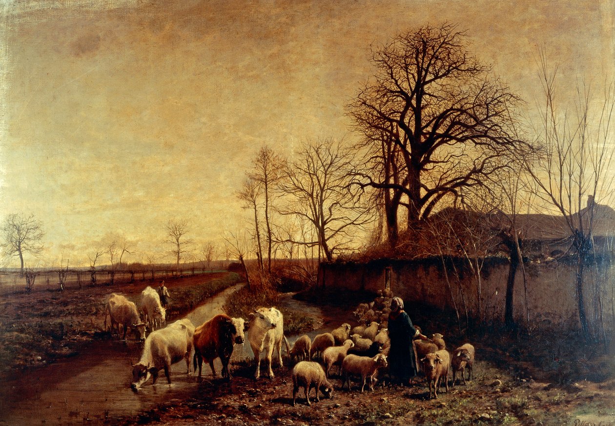 Zvířata hnaná do vody, Carlo Pittara od Carlo Pittara