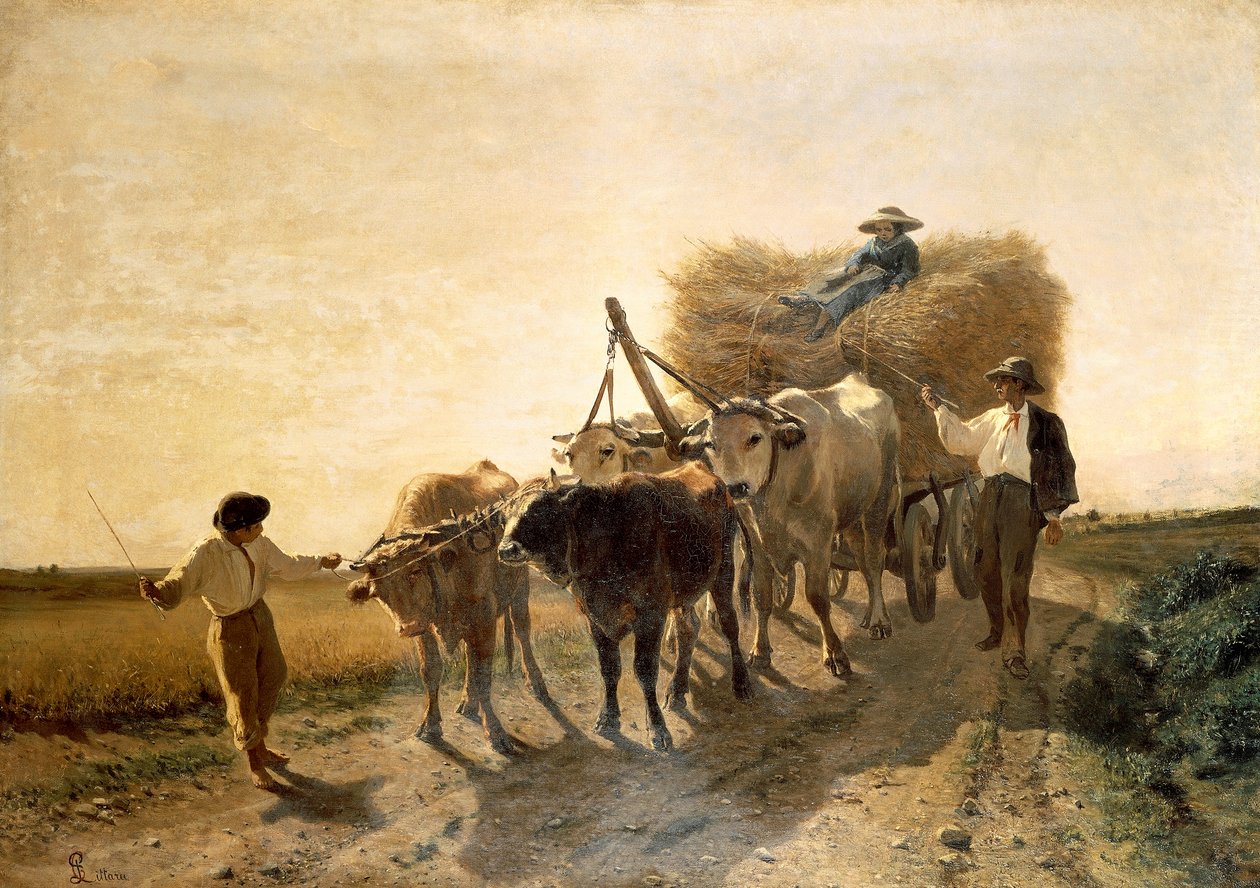 Harvest, Carlo Pittara (1836-1890) od Carlo Pittara