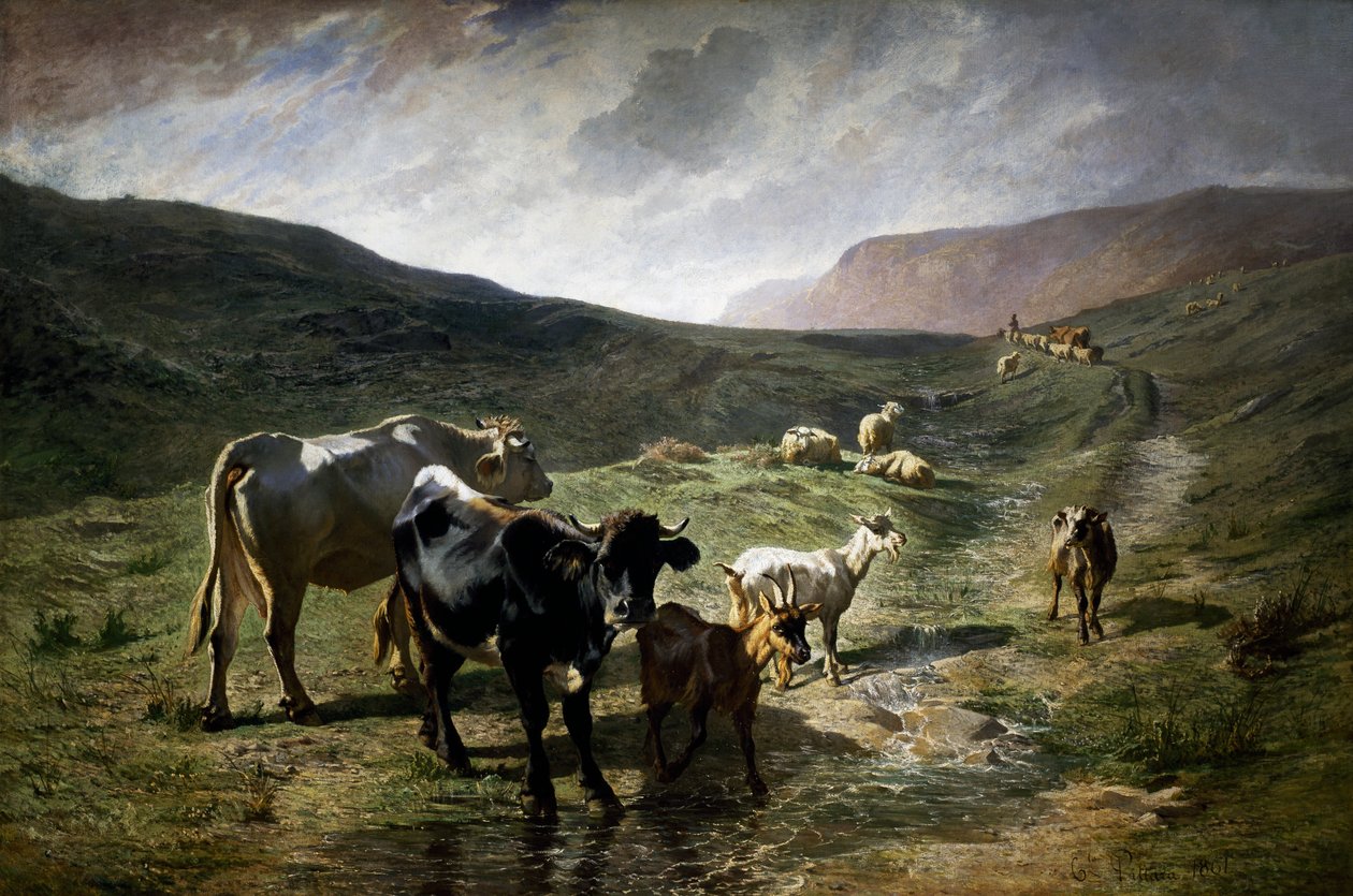 Nedaleko Rivary od Carlo Pittara