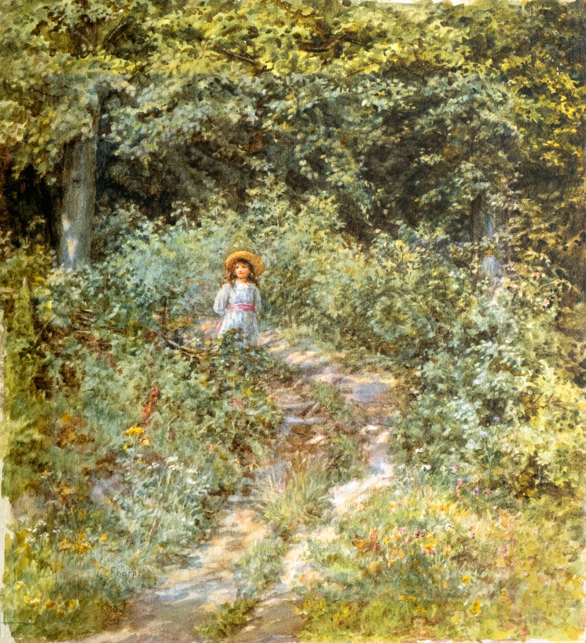 Cesta lesem (akvarel) od Caroline Paterson