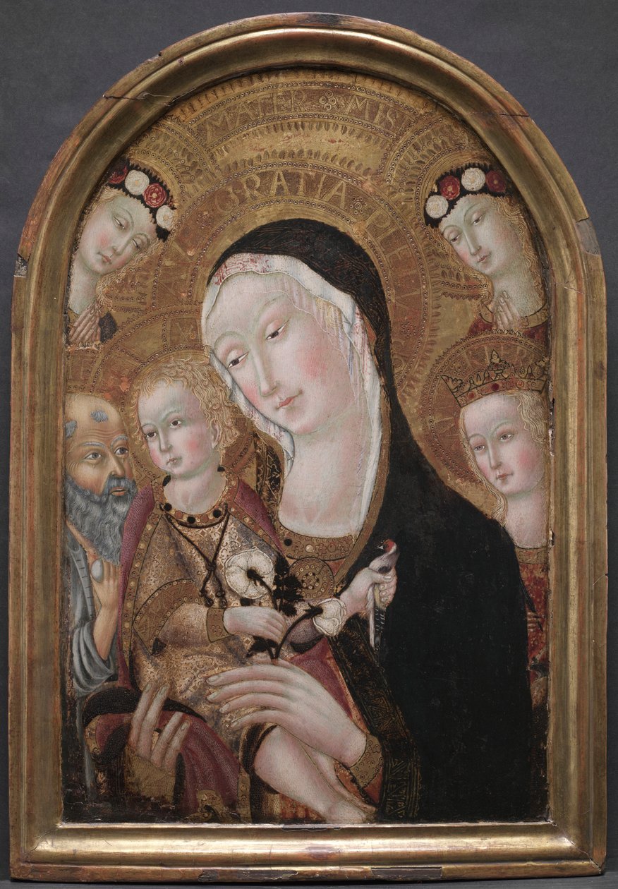 Panna s dítětem se svatým Jeronýmem a svatou Kateřinou Alexandrijskou, c. 1450. od Carolino da Viterbo