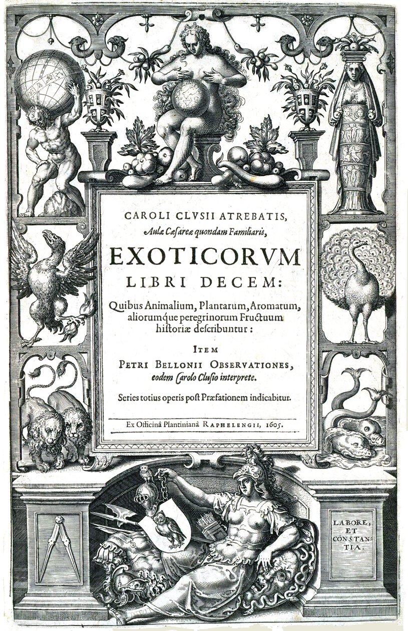 Deset exotických knih od Carolus Clusius