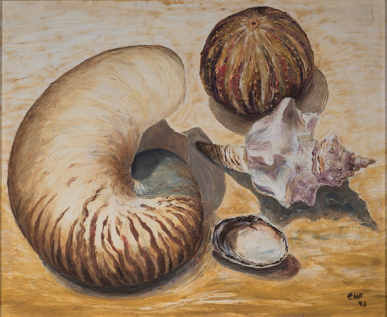 Mušle, 1993 (olej na papíře) od Carolyn Hubbard Ford