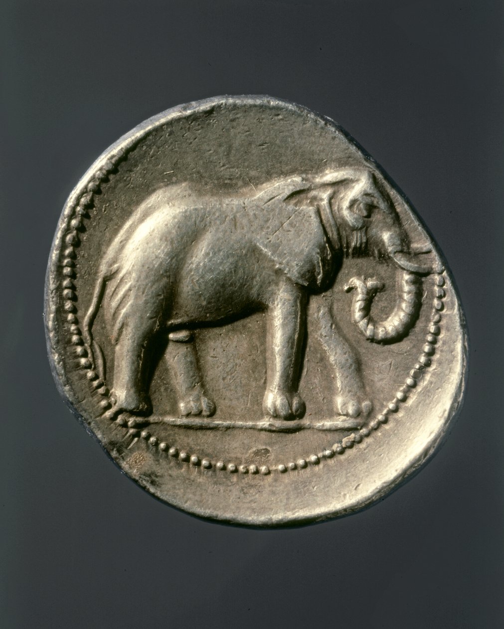 HANNIBAL Barca: Zlatá mince zobrazující Hannibalova slona (zlatá mince) od Carthaginian Carthaginian