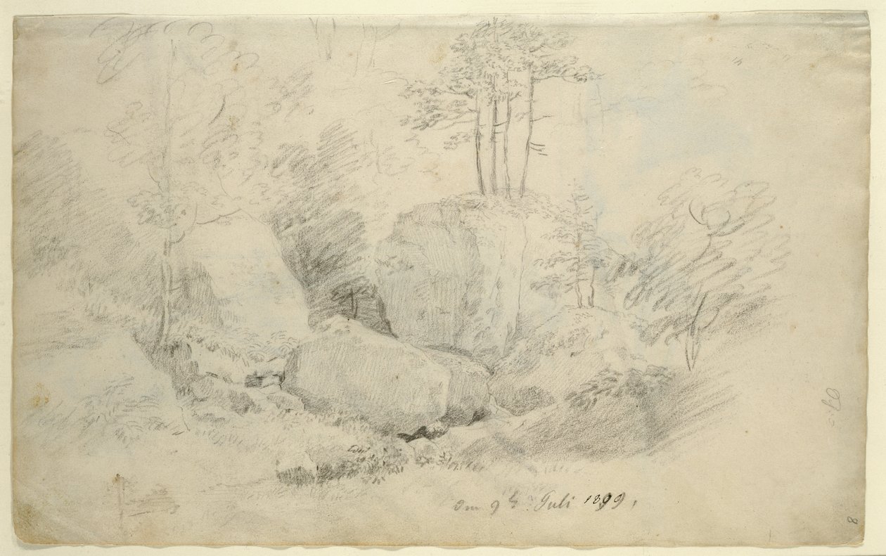 Boulders in Woodland, 1800 od Caspar David Friedrich