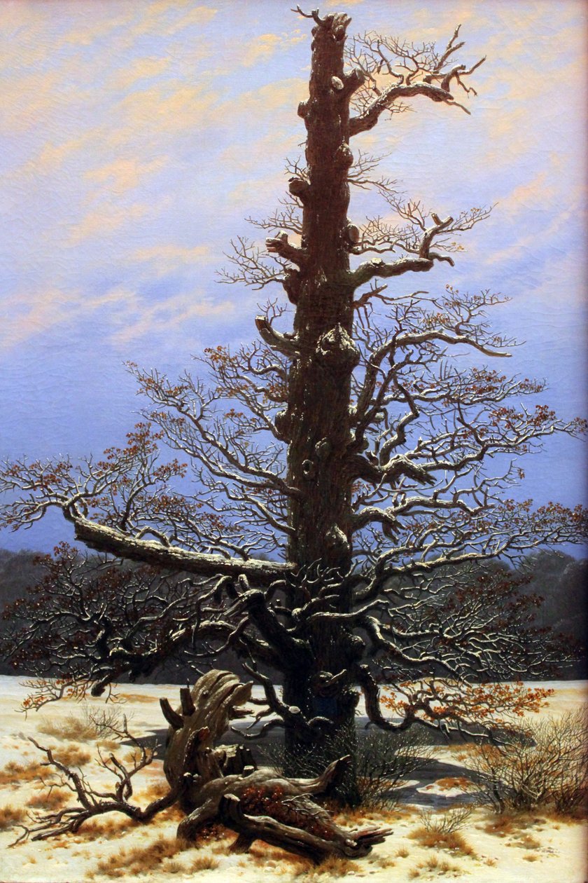 Dub na sněhu od Caspar David Friedrich
