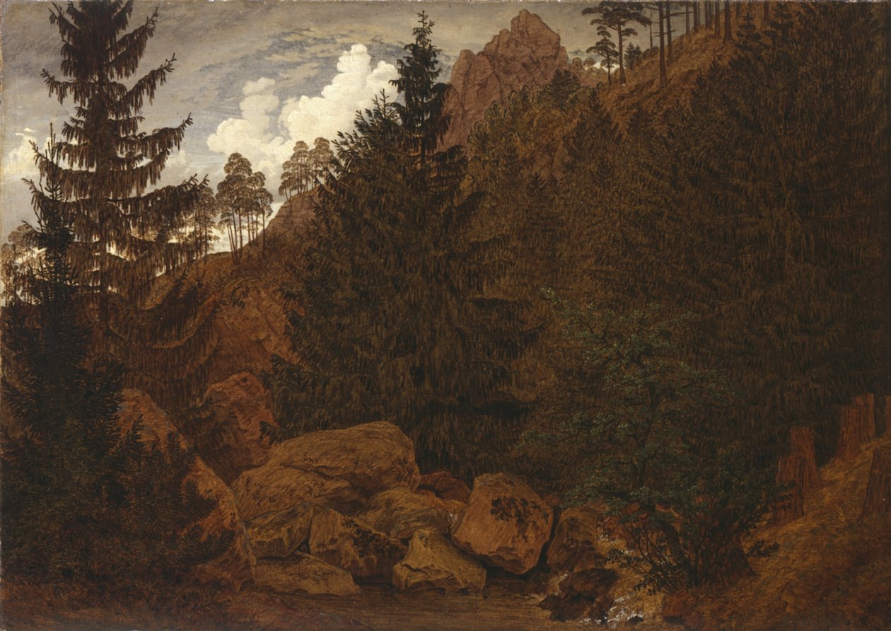 Skalní úsek v pohoří Harz od Caspar David Friedrich