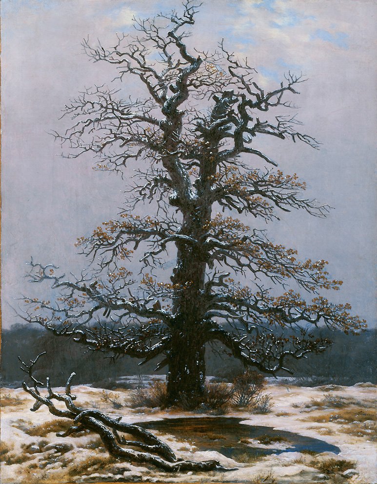 Dub ve sněhu od Caspar David Friedrich