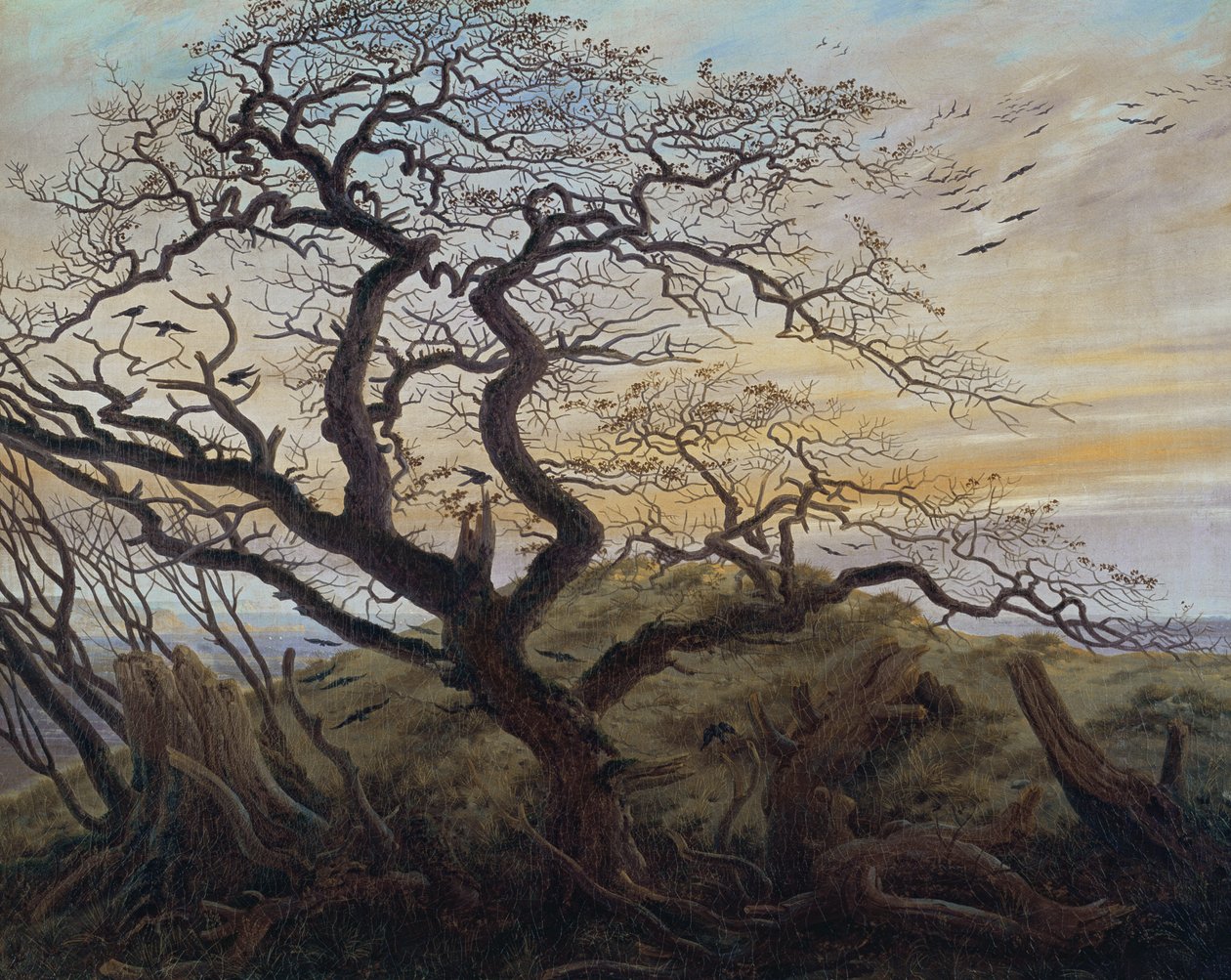Strom vran od Caspar David Friedrich
