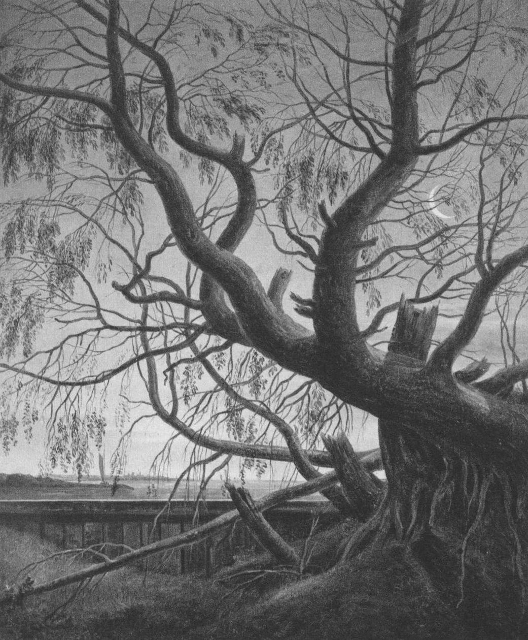Willow v měsíčním světle od Caspar David Friedrich