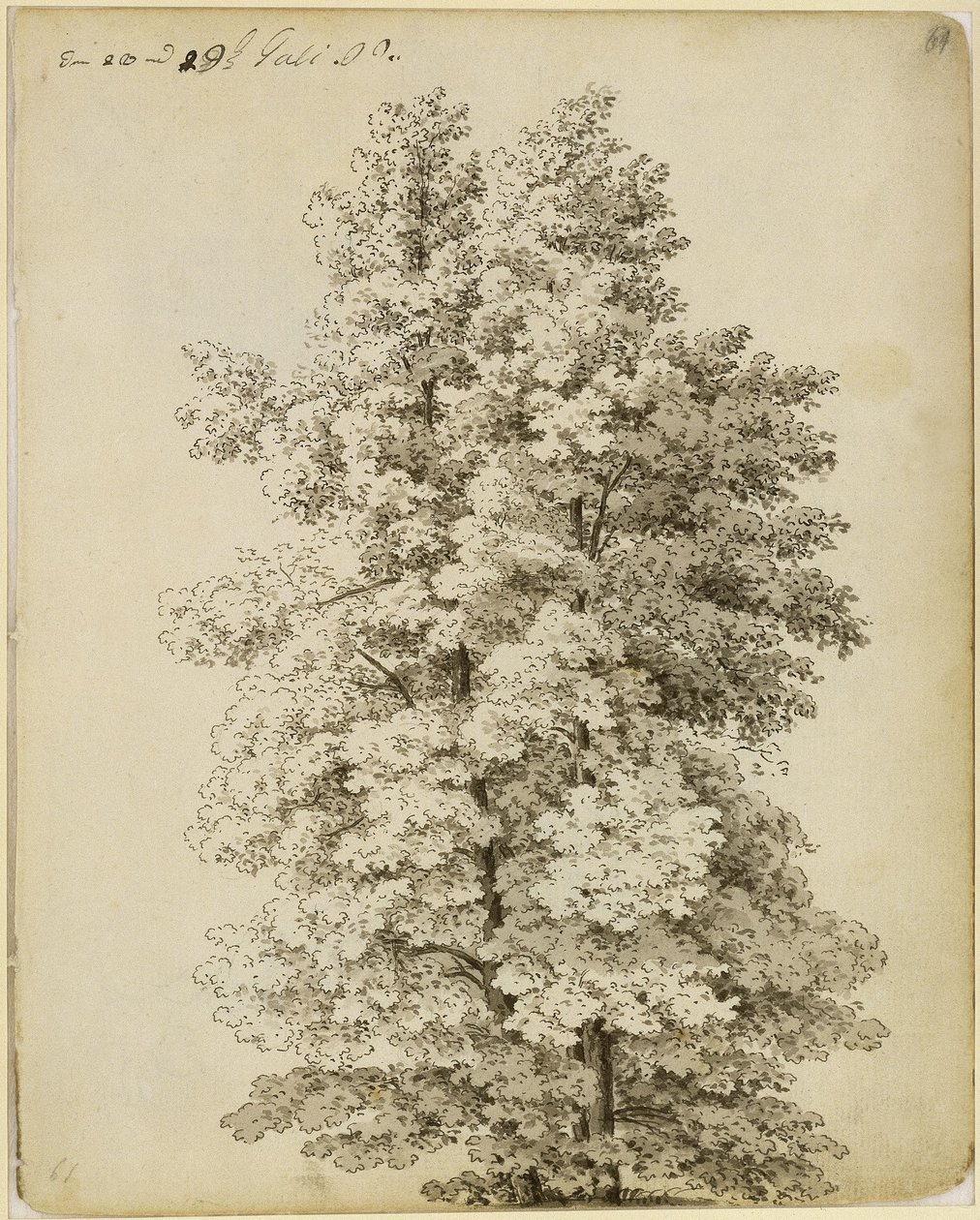 Skupina stromů od Caspar David Friedrich