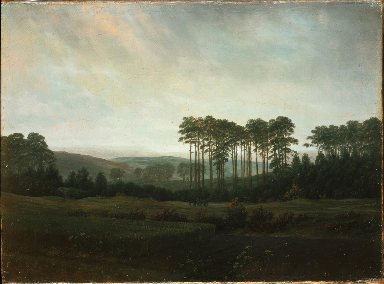 Odpoledne od Caspar David Friedrich