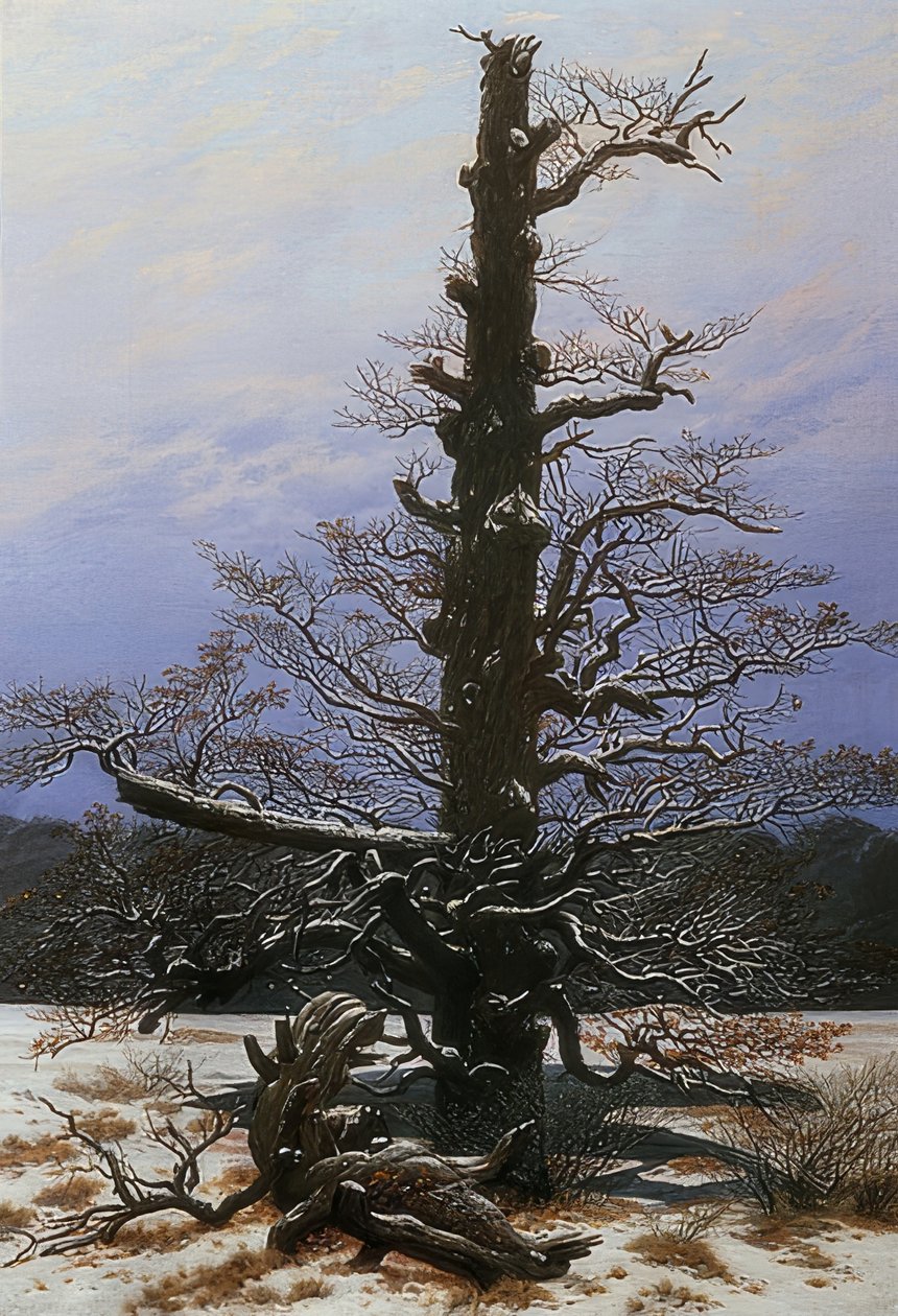 Dub ve sněhu. 1829 od Caspar David Friedrich
