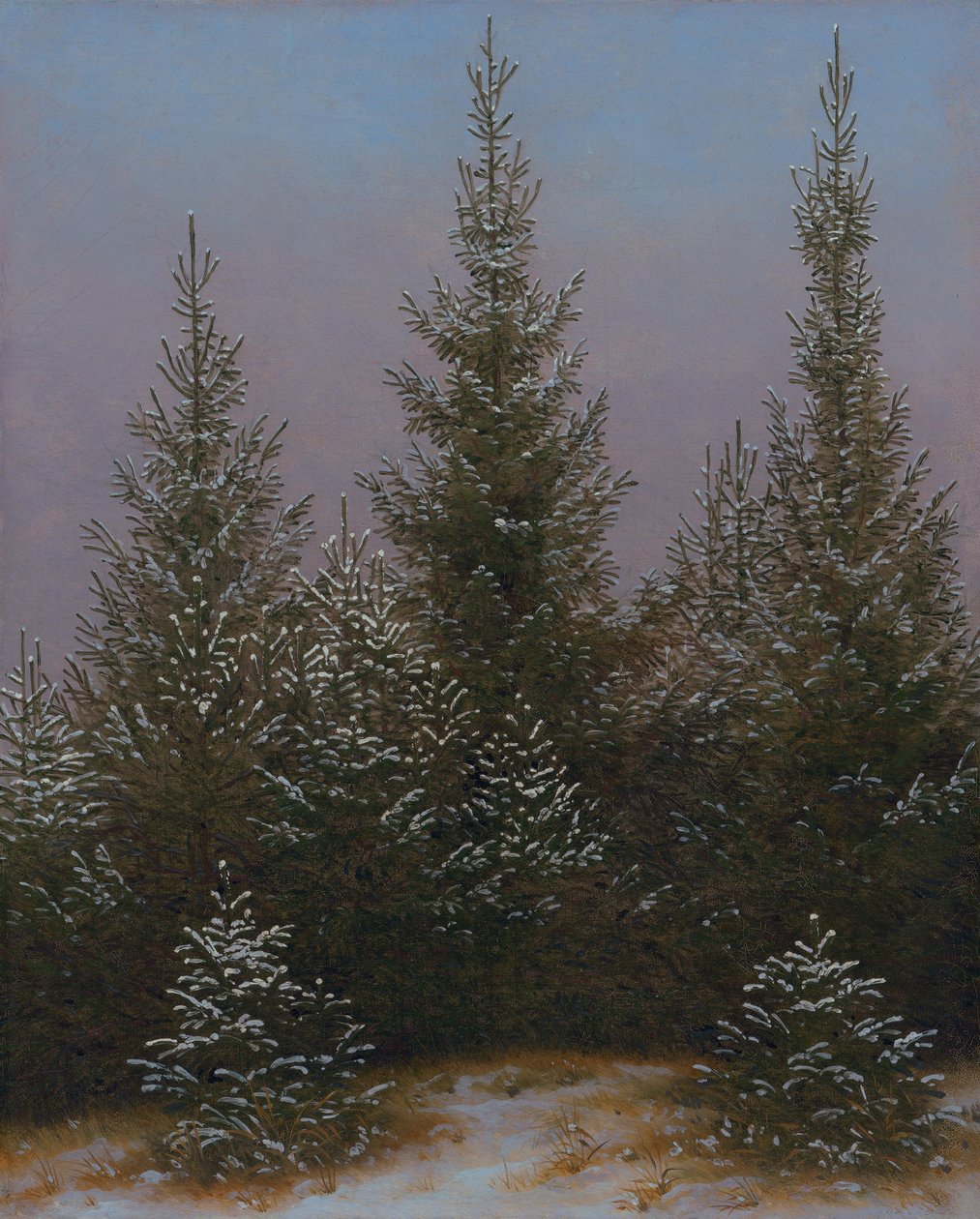 Smrkové houštiny ve sněhu (Z Drážďanské vřesoviště I) od Caspar David Friedrich
