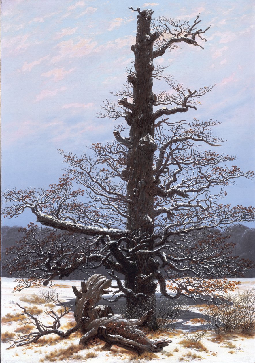 Německy: Eichbaum im Schnee Dub na sněhu od Caspar David Friedrich