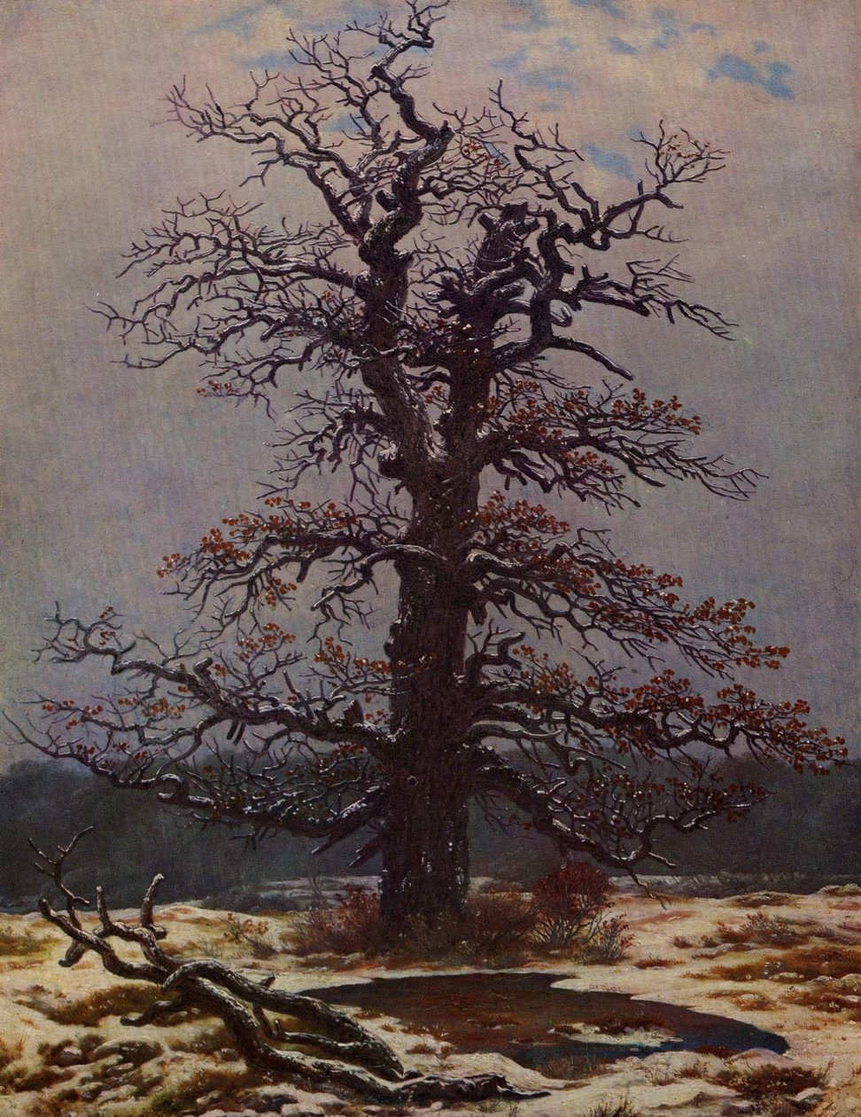 Dub na sněhu od Caspar David Friedrich