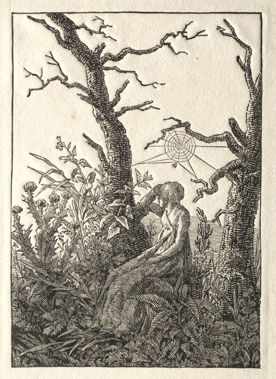 Žena s pavučinou mezi holými stromy od Caspar David Friedrich
