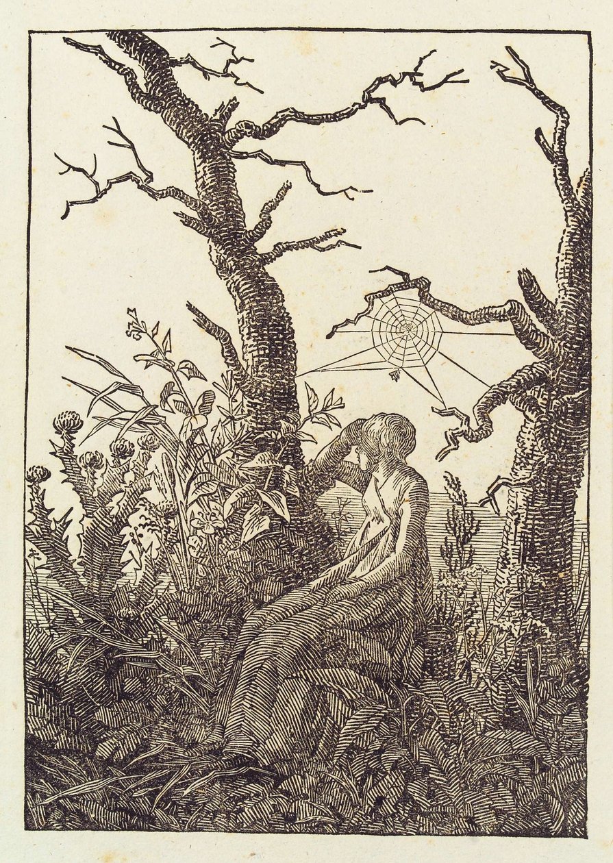 Žena s pavučinou od Caspar David Friedrich