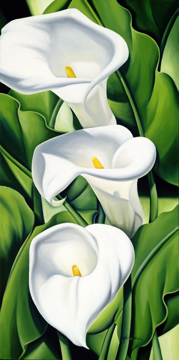 Lilie od Catherine Abel