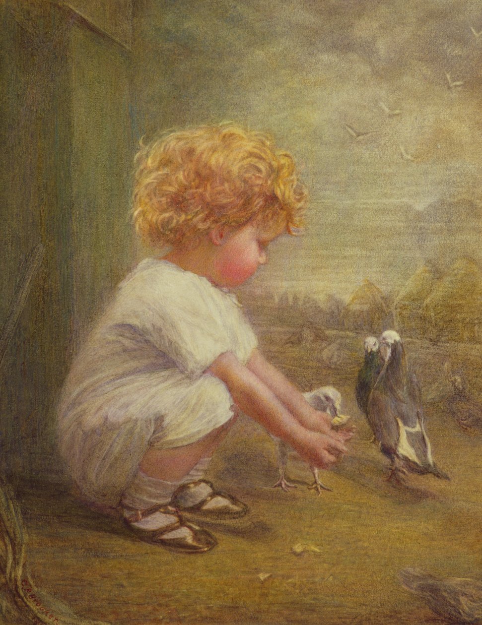 Holčička krmení holubů od Catherine P. Brooker
