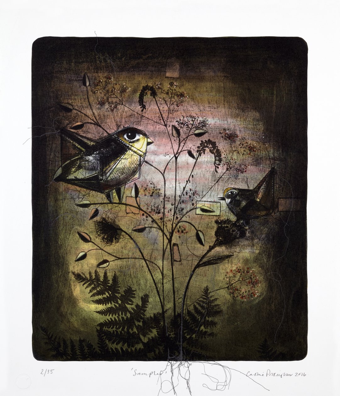 Sampler, 2016 (mokulitová litografie s ručním kolorováním) od Cathie Pilkington