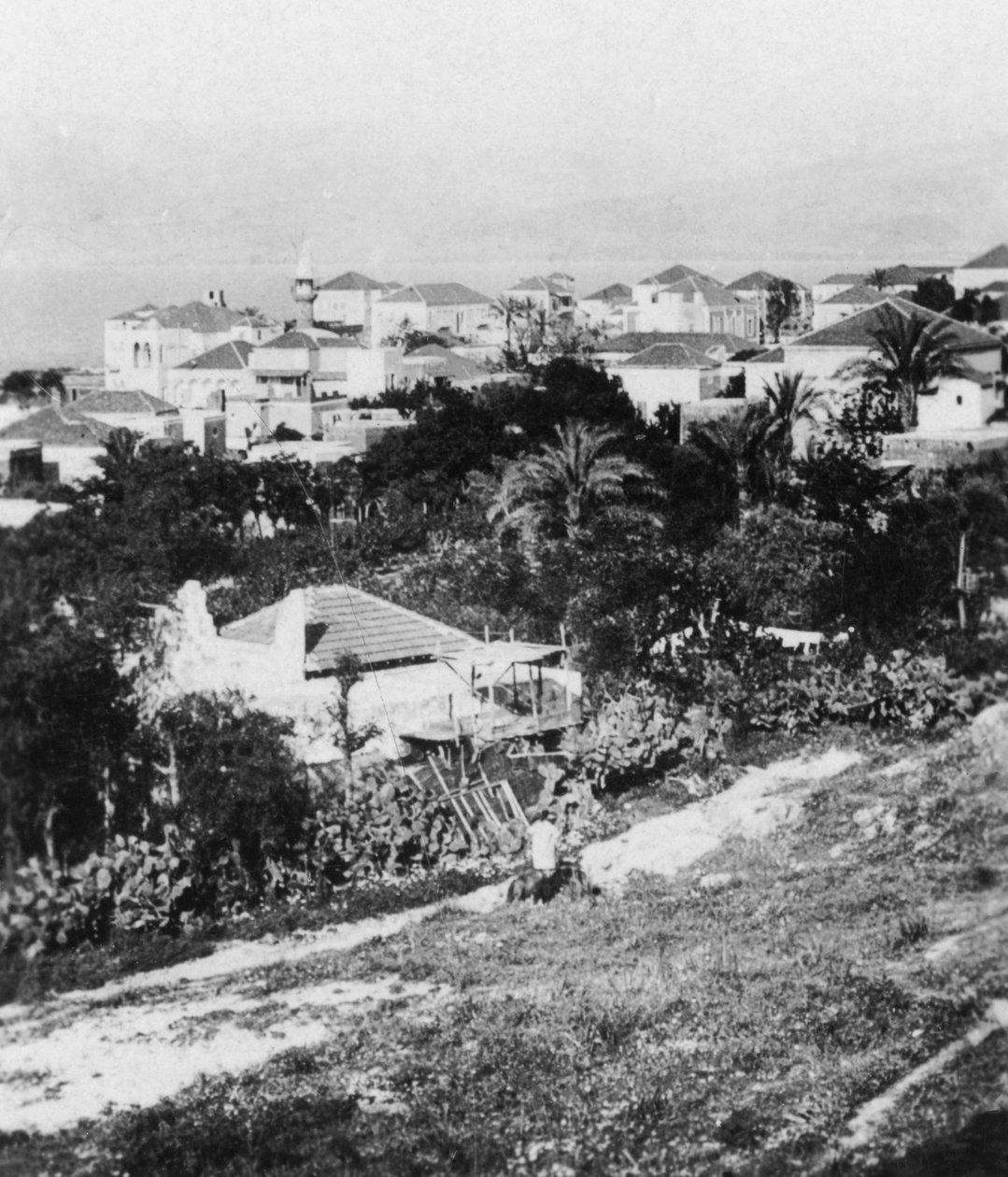 Bejrút z American College, Libanon, c1927-c1931. od Cavanders Ltd