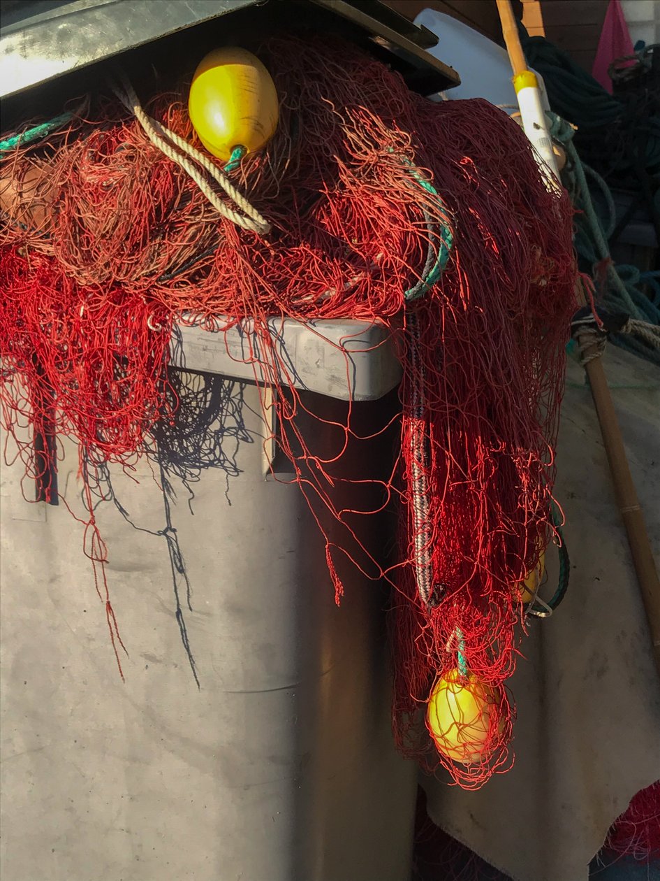 Složení - Nets, 2019 (foto) od Cécile Jamet